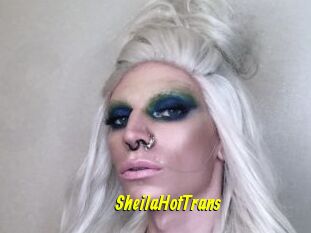 SheilaHotTrans