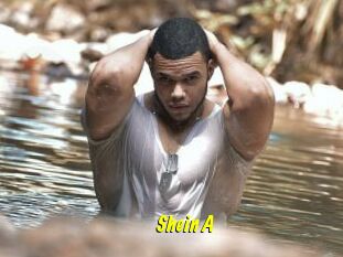 Shein_A