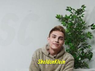 SheldonKlein