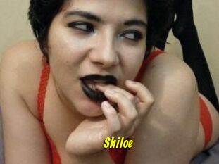 Shiloe