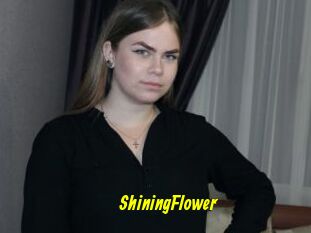 ShiningFlower