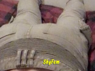 ShyFem