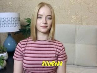 SilinBekk