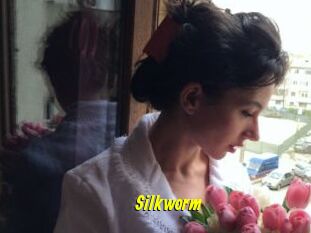 Silkworm