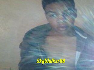 SkyWalker88