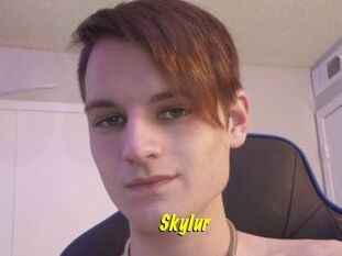 Skylur
