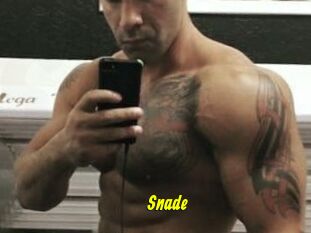 Snade