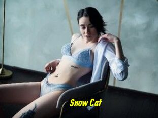 Snow_Cat