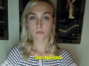 SoaringBlonde