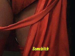 Somebitch