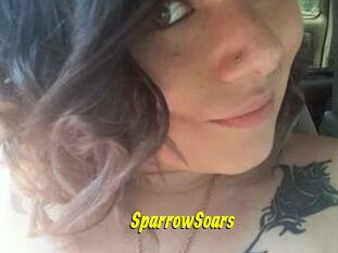 SparrowSoars