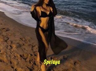 Spelaya