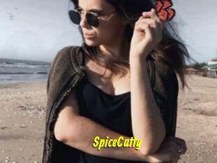 SpiceCatty