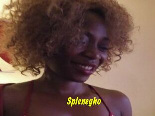 Splenegho