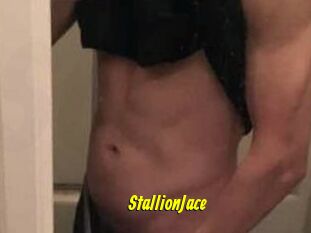StallionJace