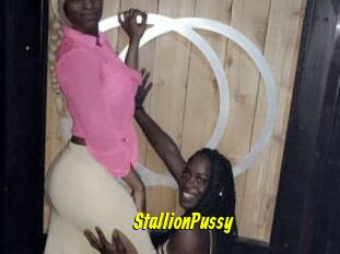 StallionPussy