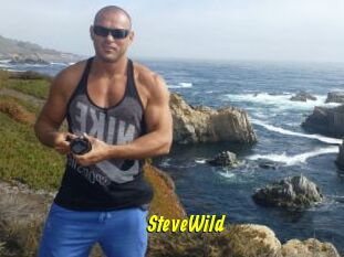 Steve_Wild