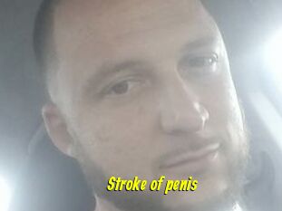 Stroke_of_penis