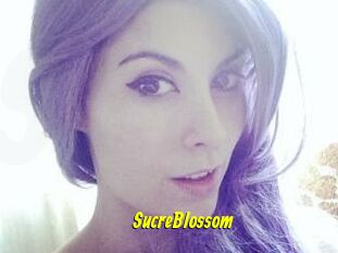 SucreBlossom