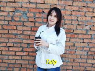Tulip