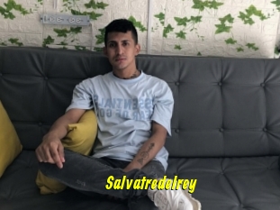 Salvatredelrey