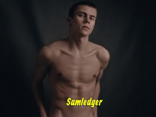 Samledger
