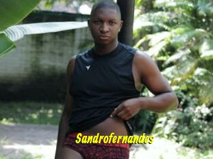 Sandrofernandes