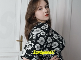 Sandymodel