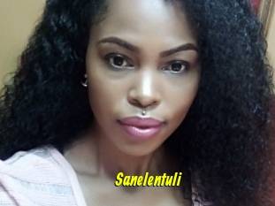 Sanelentuli
