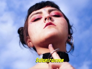 Satansraccoon