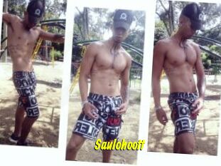 Saulohoott