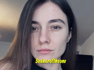 Seekeroftheone