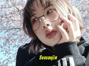 Seosoojin