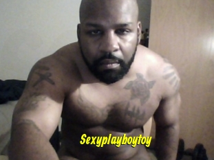 Sexyplayboytoy