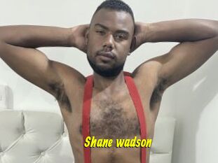 Shane_wadson