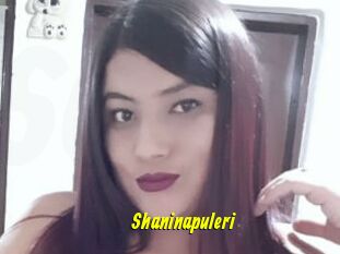 Shaninapuleri