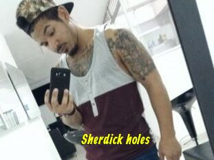 Sherdick_holes