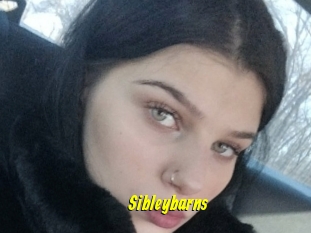 Sibleybarns