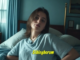 Sibleyborom