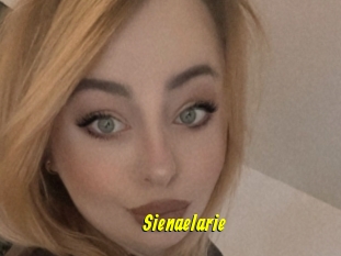 Sienaelarie