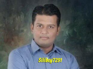 Siliboy7291