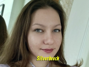 Silverbeech