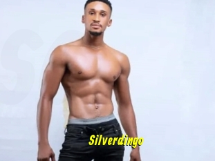 Silverdingo