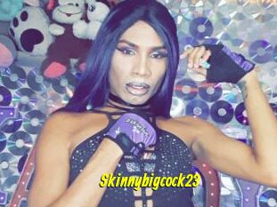 Skinnybigcock23