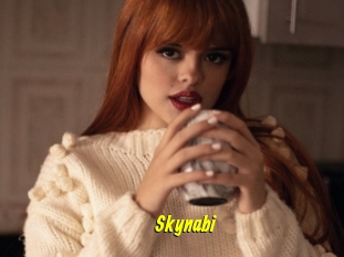 Skynabi