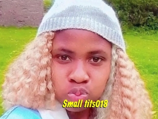 Small_tits018