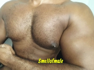 Smellofmale