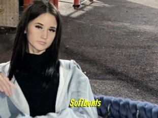 Sofibents