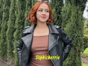 Sophicherrie