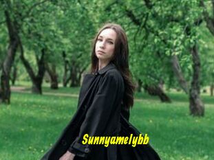 Sunnyamelybb